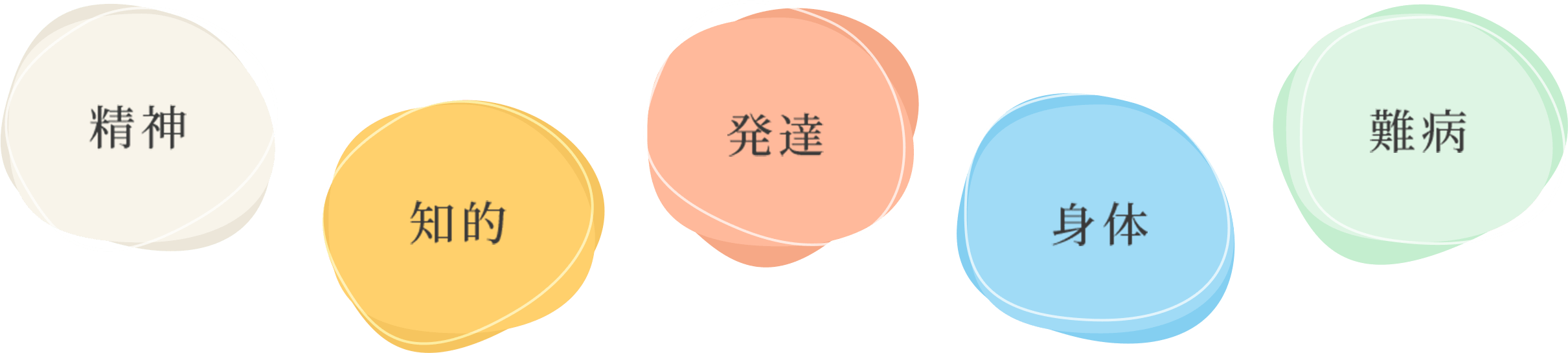 精神・知的・発達・身体・難病